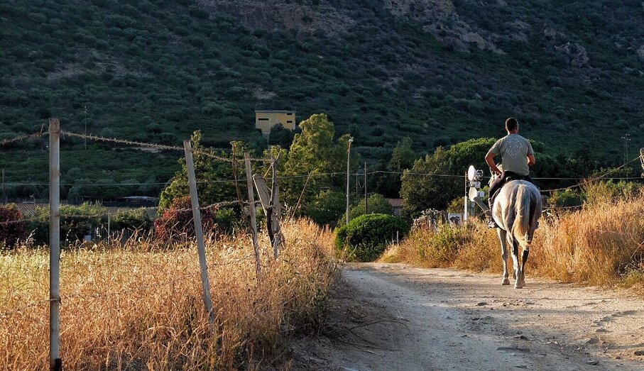 horsebackriding